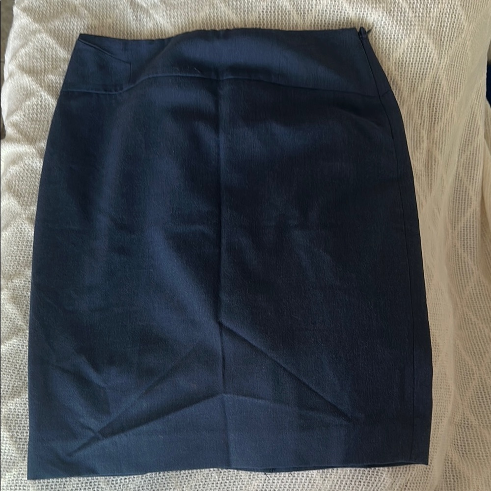 Elegant Navy Blue Women's Skirt